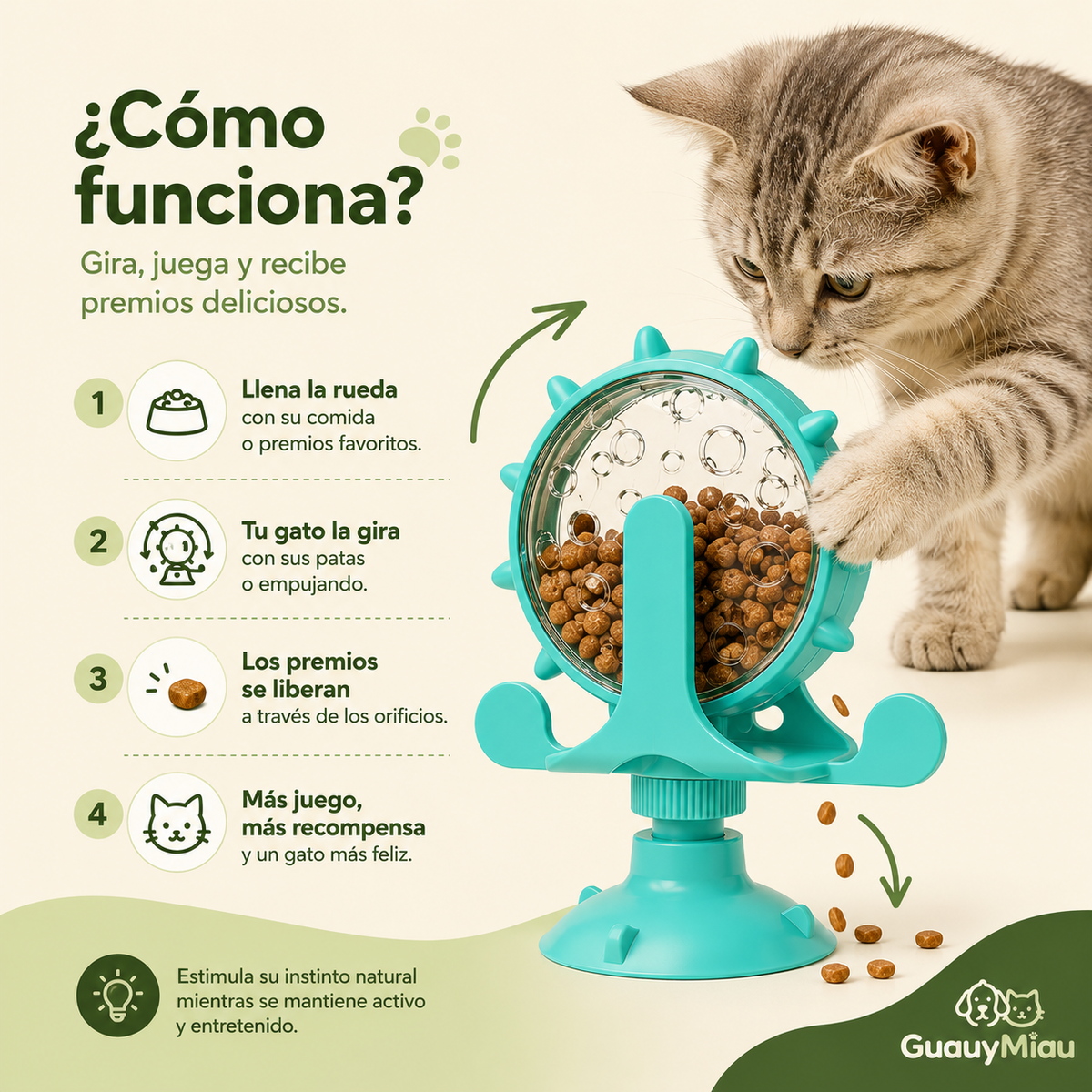 Rueda dispensador