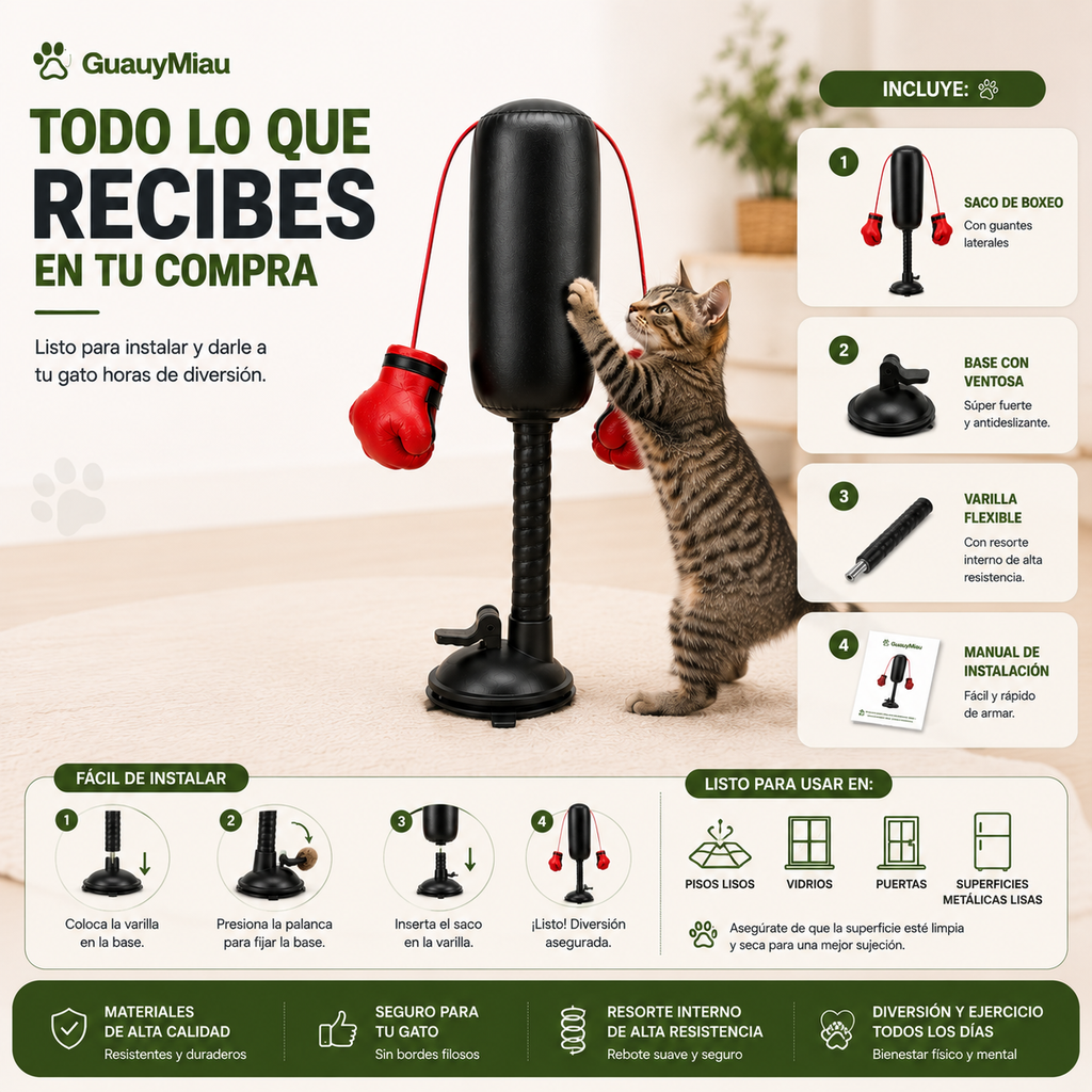 Saco de Boxeo para gatitos