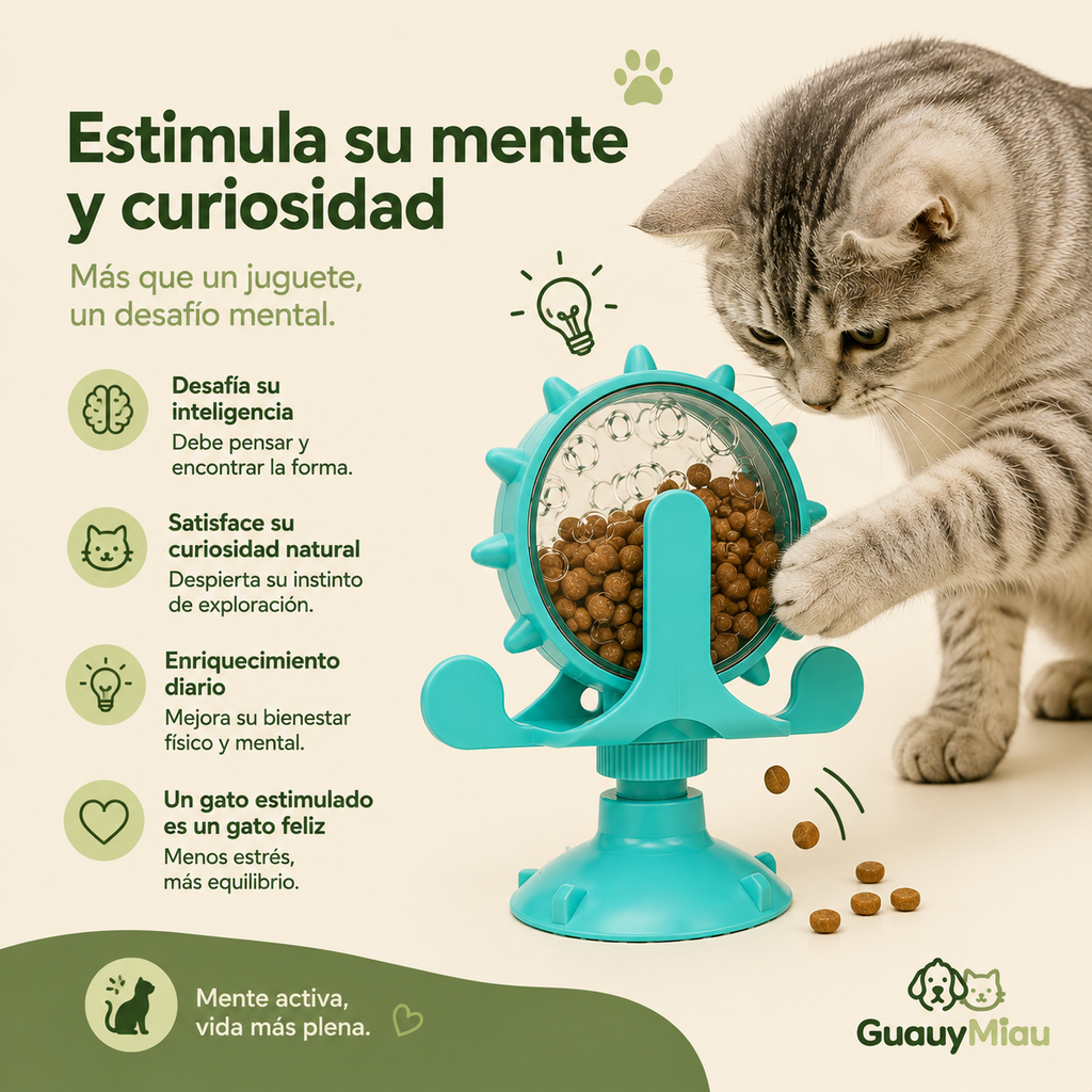 Rueda dispensador