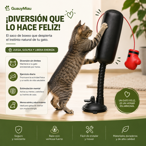 Saco de Boxeo para gatitos
