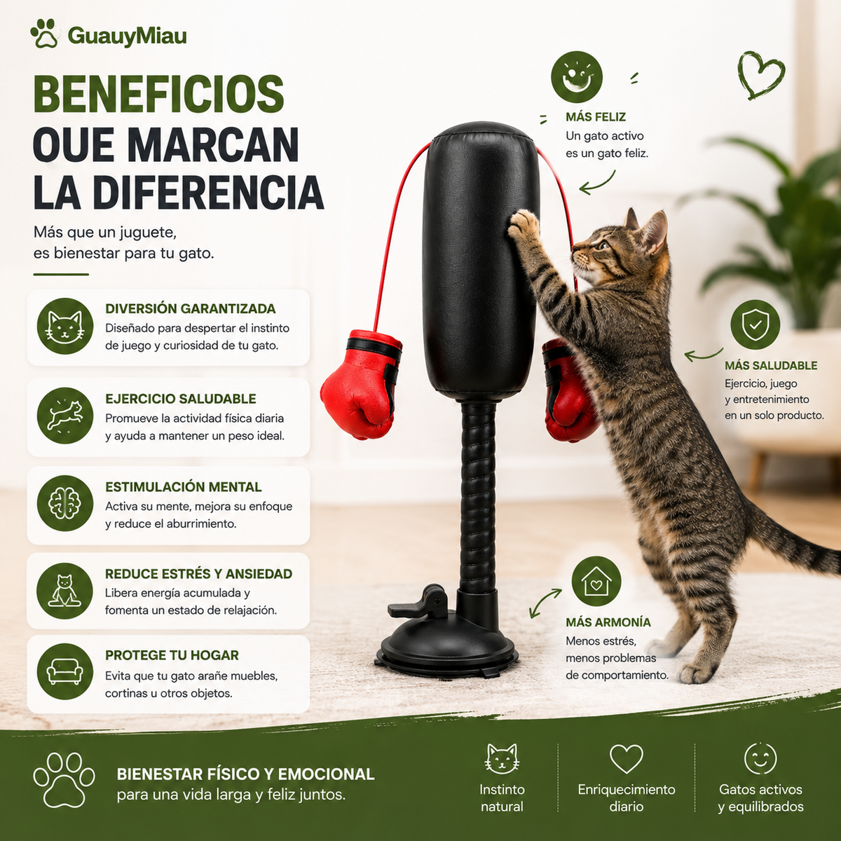 Saco de Boxeo para gatitos